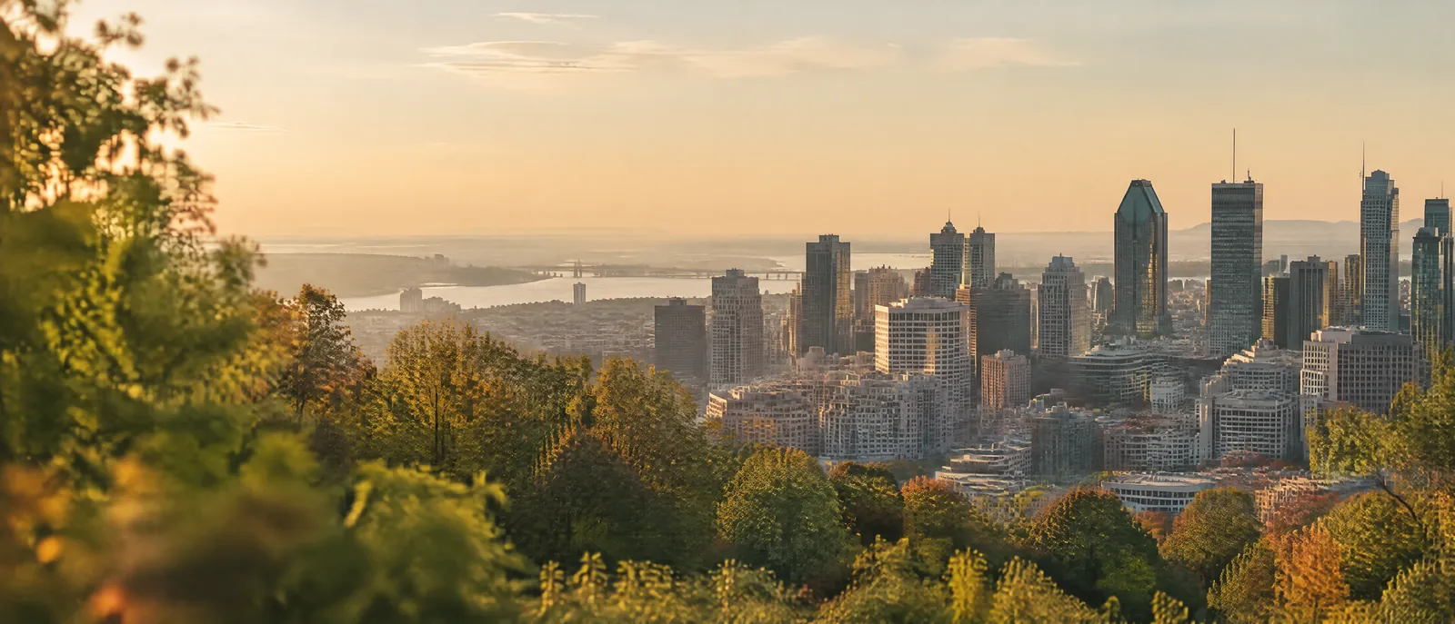 The Montreal skyline at golden hour